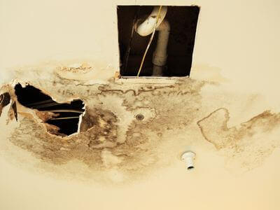 Professional basement flood restoration services services in Spring